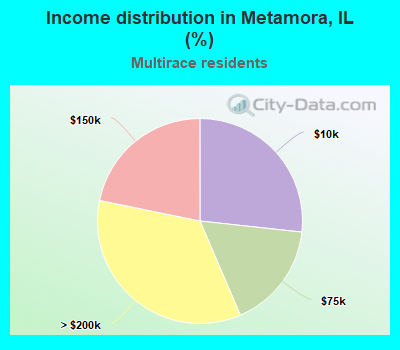 Income distribution in Metamora, IL (%)