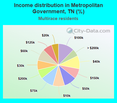 Income distribution in Metropolitan Government, TN (%)