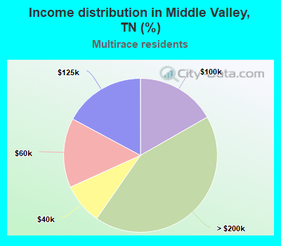Income distribution in Middle Valley, TN (%)