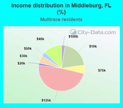 Income distribution in Middleburg, FL (%)