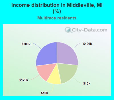 Income distribution in Middleville, MI (%)
