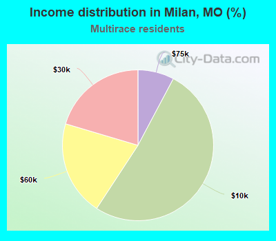 Income distribution in Milan, MO (%)