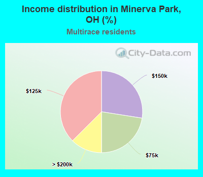 Income distribution in Minerva Park, OH (%)