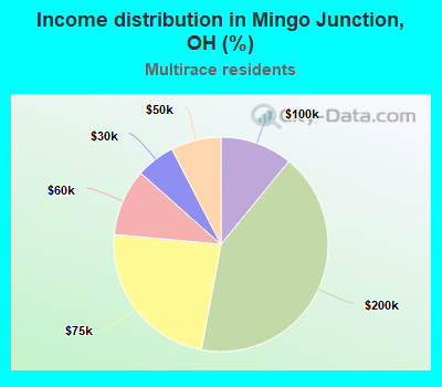 Income distribution in Mingo Junction, OH (%)