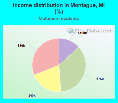 Income distribution in Montague, MI (%)