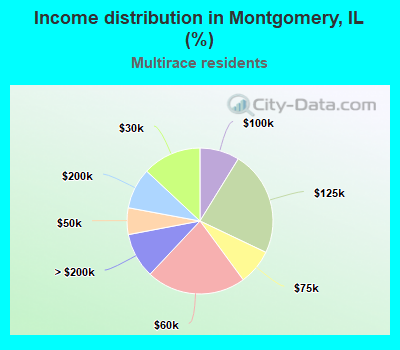 Income distribution in Montgomery, IL (%)