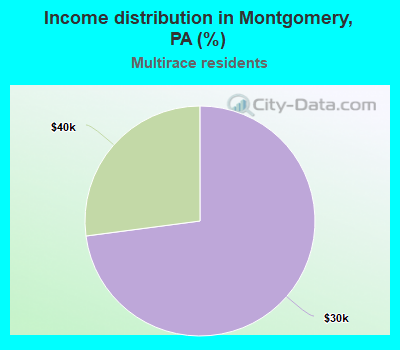 Income distribution in Montgomery, PA (%)