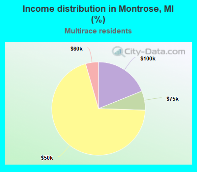 Income distribution in Montrose, MI (%)