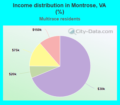 Income distribution in Montrose, VA (%)
