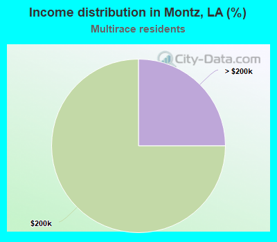 Income distribution in Montz, LA (%)