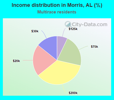 Income distribution in Morris, AL (%)