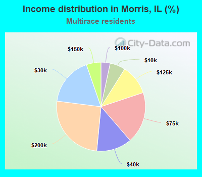 Income distribution in Morris, IL (%)