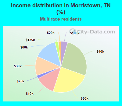 Income distribution in Morristown, TN (%)