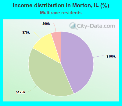 Income distribution in Morton, IL (%)