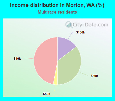 Income distribution in Morton, WA (%)