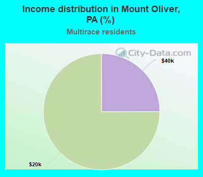 Income distribution in Mount Oliver, PA (%)