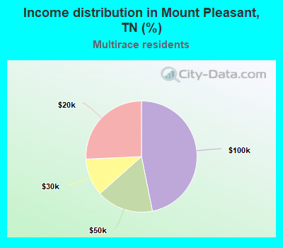 Income distribution in Mount Pleasant, TN (%)