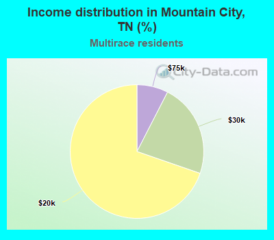 Income distribution in Mountain City, TN (%)