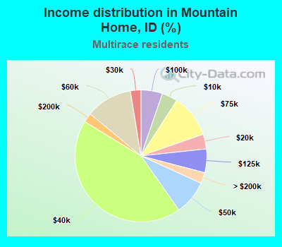 Income distribution in Mountain Home, ID (%)