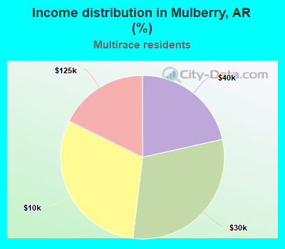 Income distribution in Mulberry, AR (%)