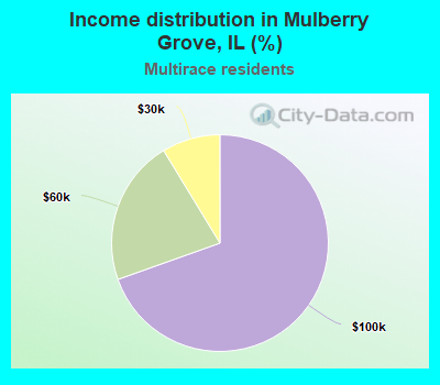 Income distribution in Mulberry Grove, IL (%)