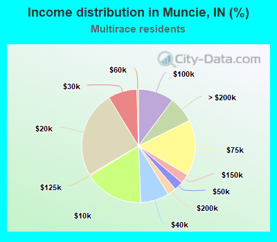 Income distribution in Muncie, IN (%)