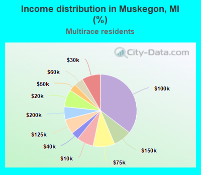 Income distribution in Muskegon, MI (%)