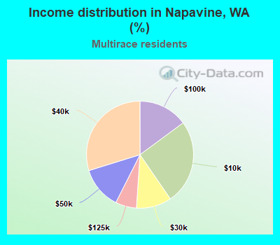 Income distribution in Napavine, WA (%)