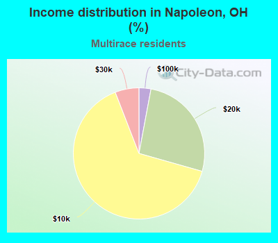 Income distribution in Napoleon, OH (%)
