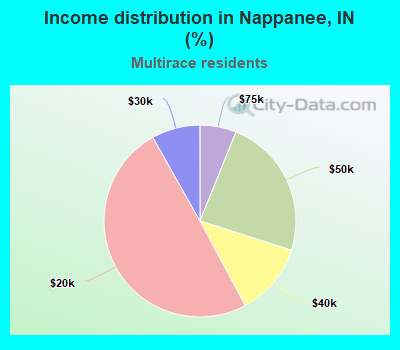 Income distribution in Nappanee, IN (%)