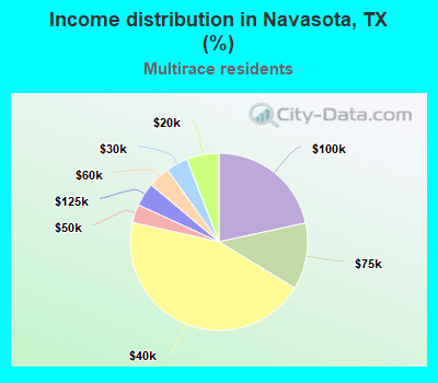 Income distribution in Navasota, TX (%)