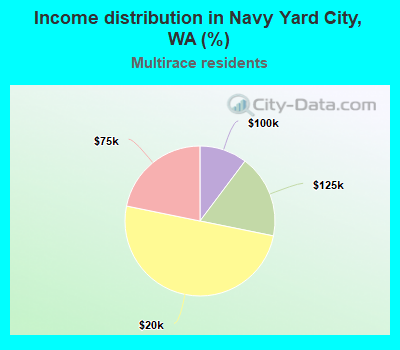 Income distribution in Navy Yard City, WA (%)