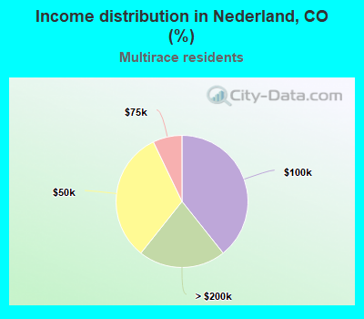 Income distribution in Nederland, CO (%)