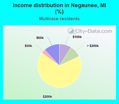 Income distribution in Negaunee, MI (%)