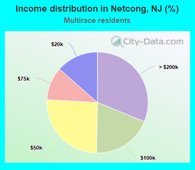 Income distribution in Netcong, NJ (%)