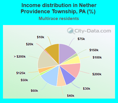 Income distribution in Nether Providence Township, PA (%)