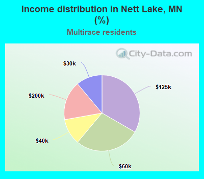 Income distribution in Nett Lake, MN (%)