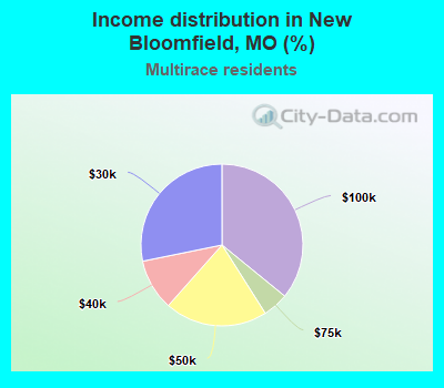 Income distribution in New Bloomfield, MO (%)