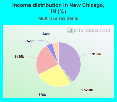 Income distribution in New Chicago, IN (%)