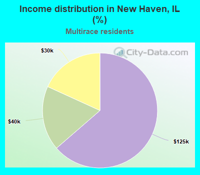 Income distribution in New Haven, IL (%)