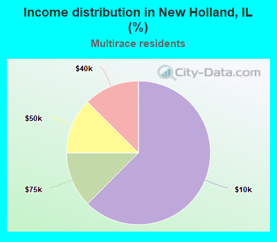 Income distribution in New Holland, IL (%)