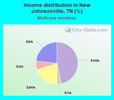 Income distribution in New Johnsonville, TN (%)