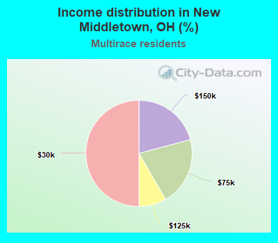 Income distribution in New Middletown, OH (%)