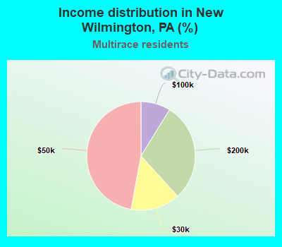 Income distribution in New Wilmington, PA (%)