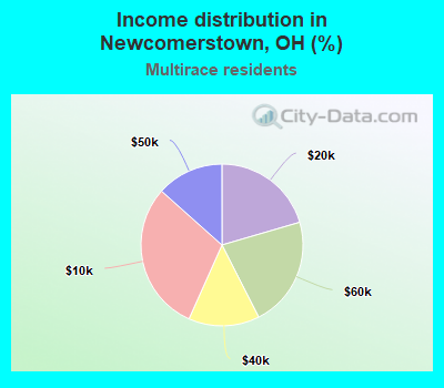 Income distribution in Newcomerstown, OH (%)