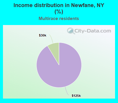 Income distribution in Newfane, NY (%)