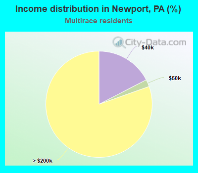 Income distribution in Newport, PA (%)