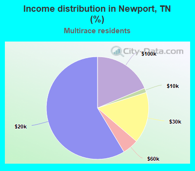 Income distribution in Newport, TN (%)