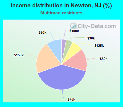 Income distribution in Newton, NJ (%)