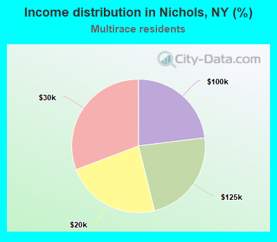 Income distribution in Nichols, NY (%)